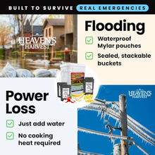 Load image into Gallery viewer, Fruit & Vegetable Bucket - 6 Pack - Emergency Survival Food Kit