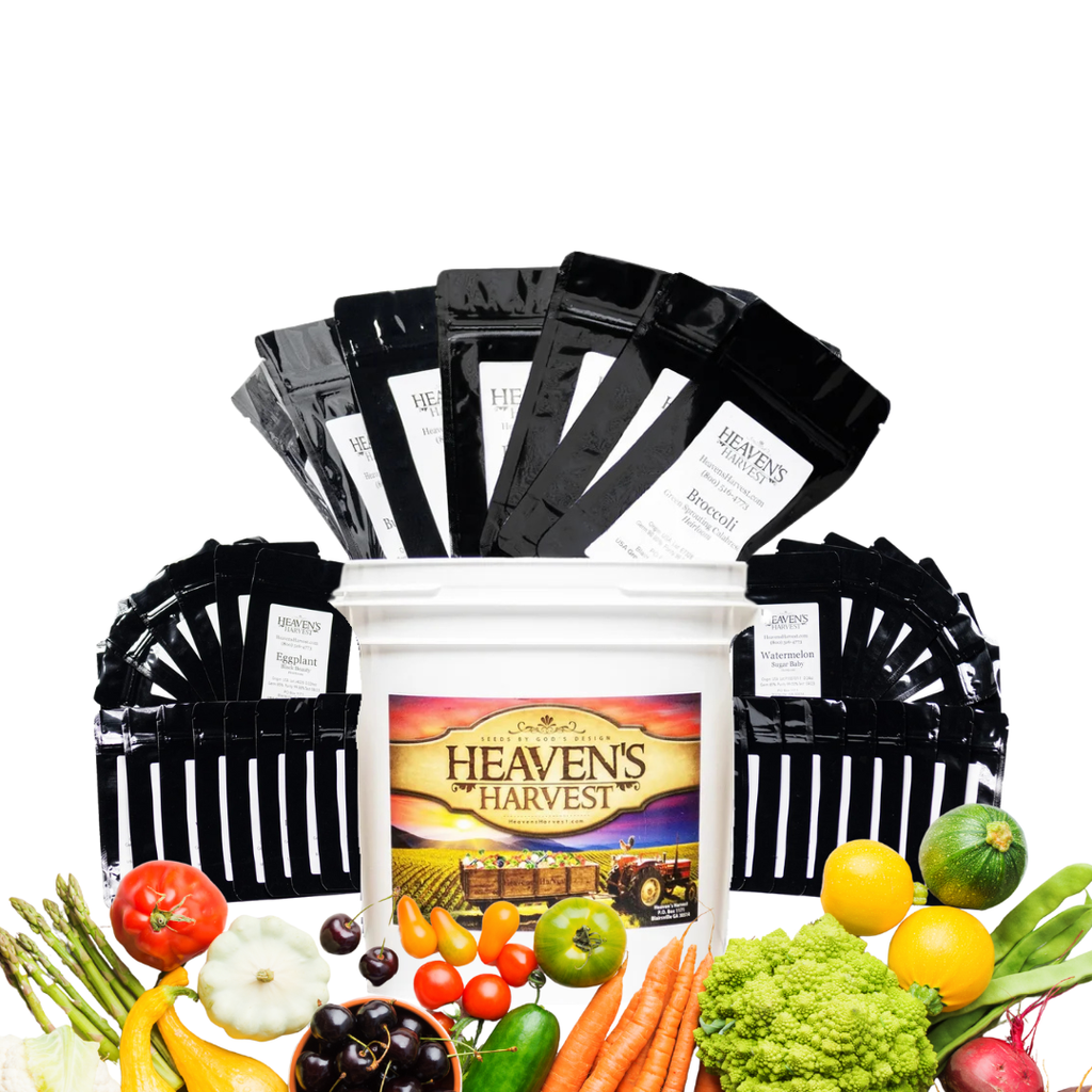 Heirloom Vegetable Seed Kit