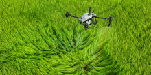 Load image into Gallery viewer, DJI Agras T50 Advanced Agricultural Drone for Precision Spraying and Spreading