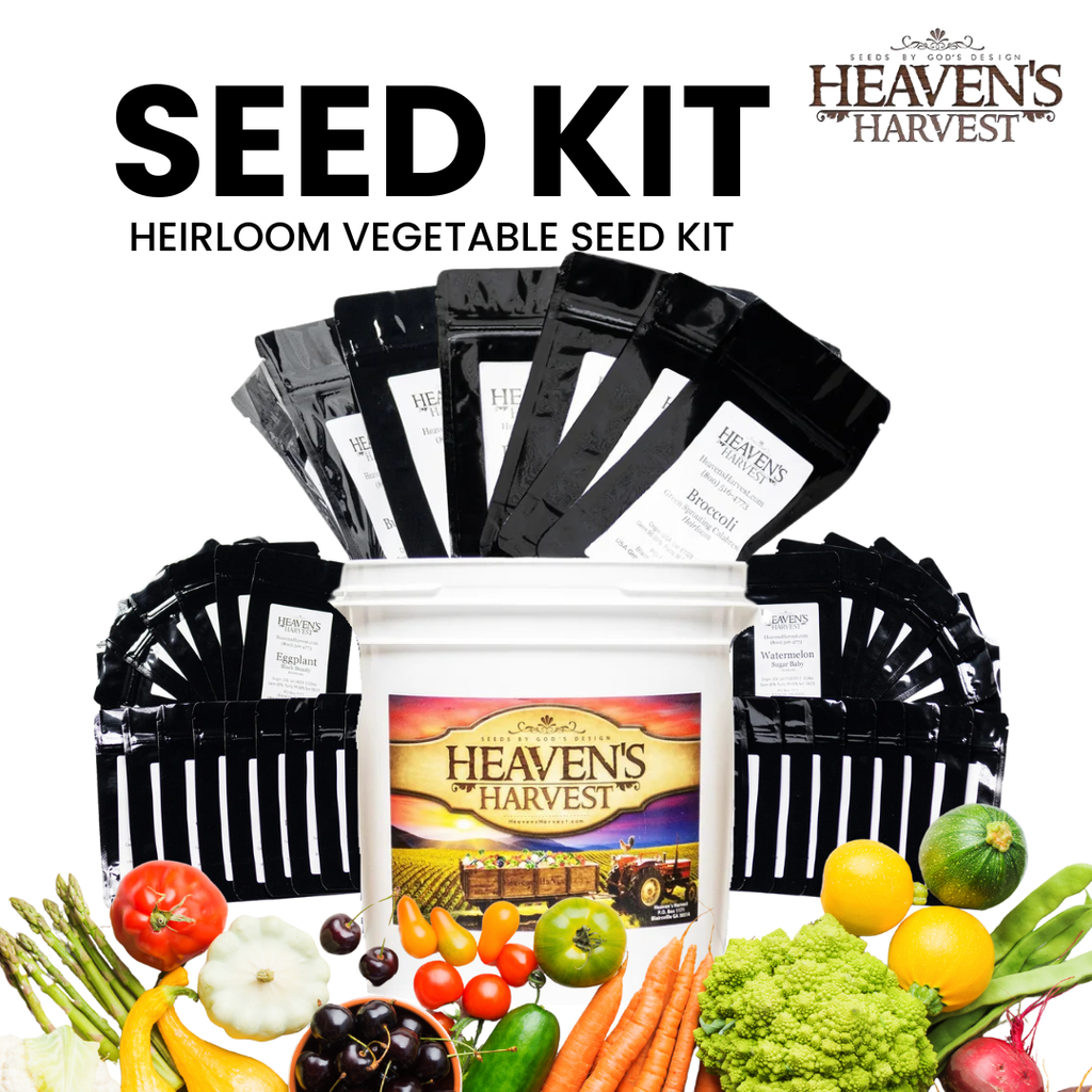 Heirloom Vegetable Seed Kit