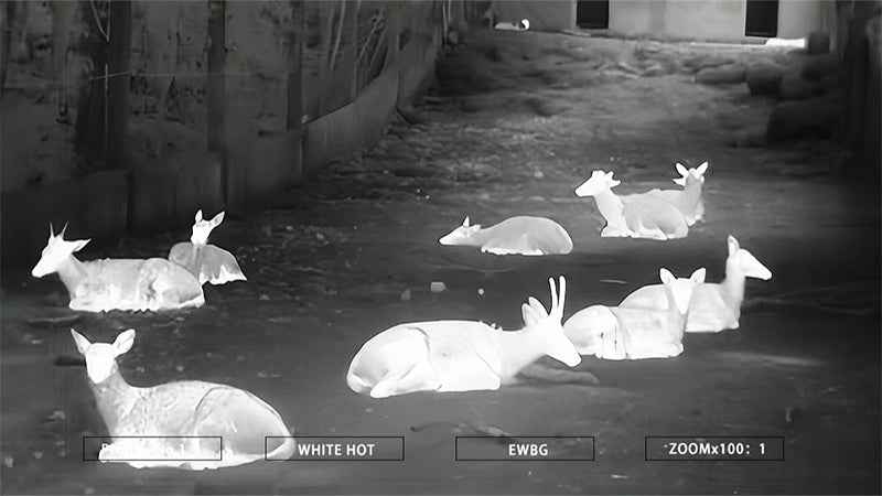 BIRD 6M HD Handheld Thermal Imaging Monocular 640x512 50Hz for Hunting