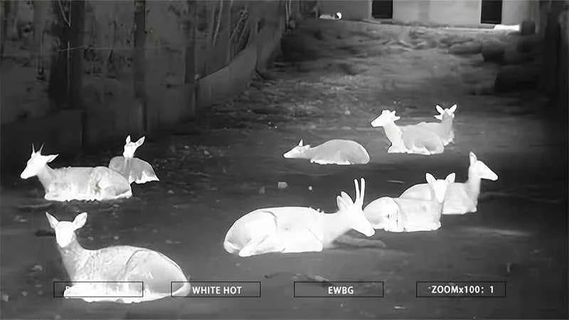 WOLF 3B Hybrid Clip-On Thermal Imaging Rifle Scope 384x288 50Hz for Hunting With LRF 50mm / 35mm