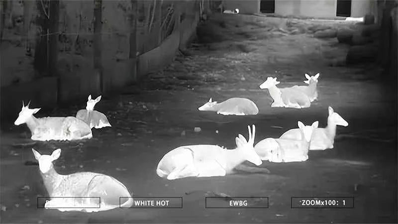 WOLF 6H Helmet Mounted Thermal Monocular 640x512 50Hz Night Vision Device