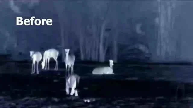 WOLF 3M Advanced Thermal Rifle Scope: Clear HD Imaging, Ballistic Calculator, WiFi